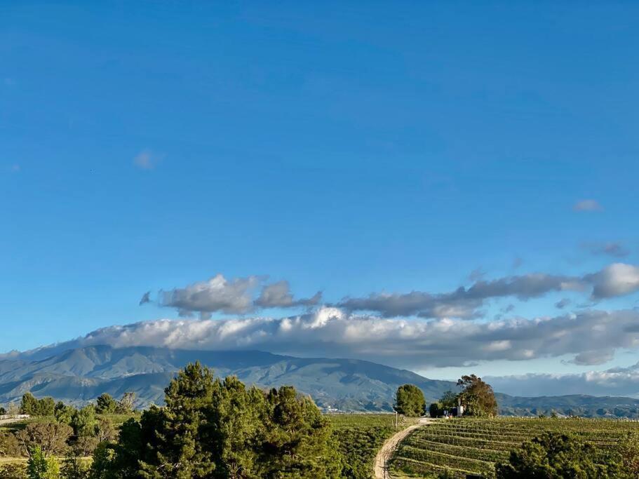 Que Syrah Temecula - Villa With 9 Bedroom 7 Ba With Spa In Wine Country Bagian luar foto