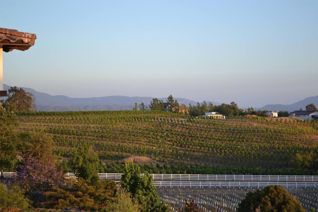 Que Syrah Temecula - Villa With 9 Bedroom 7 Ba With Spa In Wine Country Bagian luar foto