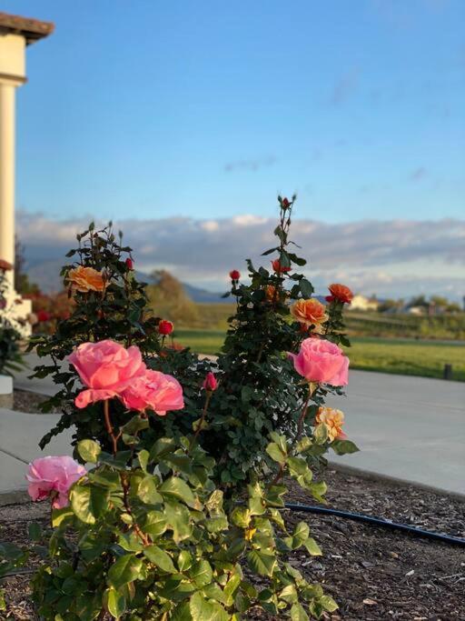 Que Syrah Temecula - Villa With 9 Bedroom 7 Ba With Spa In Wine Country Bagian luar foto