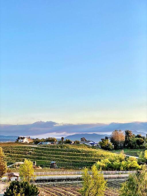 Que Syrah Temecula - Villa With 9 Bedroom 7 Ba With Spa In Wine Country Bagian luar foto