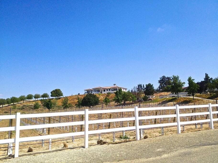 Que Syrah Temecula - Villa With 9 Bedroom 7 Ba With Spa In Wine Country Bagian luar foto